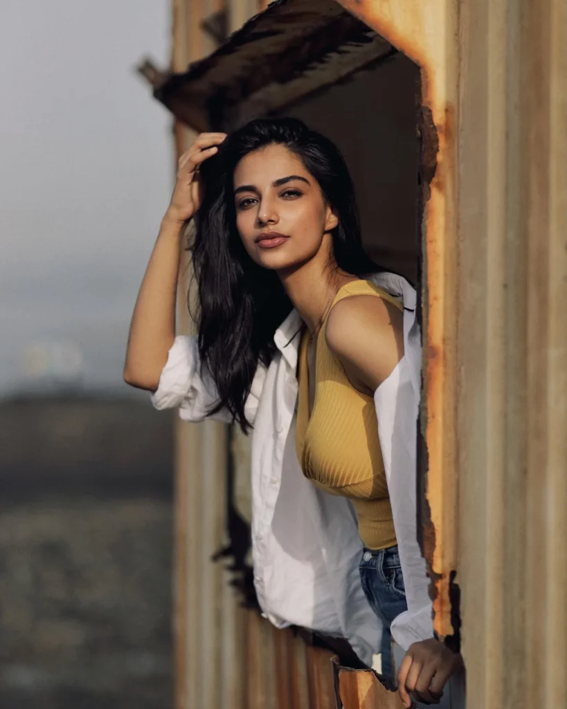 meenakshi chaudhary movies